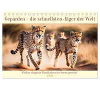 Geparden - die schnellsten Jäger der Welt (Tischkalender 2026 DIN A5 quer), CALVENDO Monatskalender: Afrikas elegante Raubkatzen in Szene gesetzt