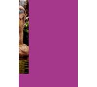 Gerações De Medeias (ebook)