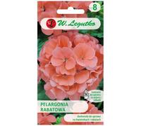 Geranio de parterre Gama F1 - salmón