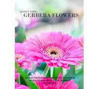 Gerbera flowers: Exploring Gerbera Flowers: A Visual Journey Through Nature’s Joyful Blooms