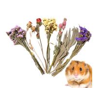 Gerbil Shelter - 9.84 Inch Small Animal Bedding | Soft Fiber Pet Nest - Decorative Flower Hamster Bedding For Gerbils Bunnies Lightweight Shelter Providing Comfort And Play Enrichment For Home Ca