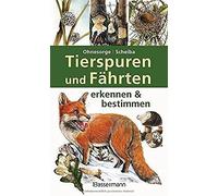 Gerd Ohnesorge Bernd Sche Tierspuren und Fährten erkennen & bestim (Tapa blanda)