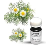 German Chamomile Essential Oil / 100% Pure German Chamomile Undiluted Essential Oil Premium Quality (50 ML, NATURAL)