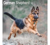 German Shepherd 2027 Calendar | Square Wall Calendar | Dog Breed Gift | Plastic Free Packaging | by Avonside Publishing