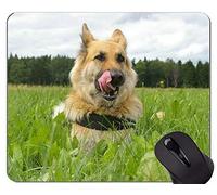 German Shepherd Dogs Mousepad, German Shepherd Rectangle Gaming Mousepad Personalizado
