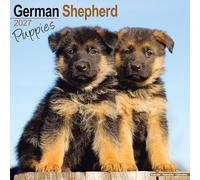 German Shepherd Puppies 2027 Calendar | Square Wall Calendar | Puppy Gift | Plastic Free Packaging | by Avonside Publishing