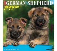 Willow Creek Press, Just German Shepherd Puppies - Calendario de pared 2027