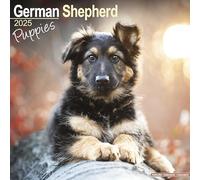 German Shepherd Puppies Calendar 2025 Square Dog Puppy Breed Wall Calendar - 16 Month