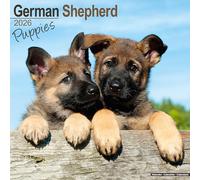 German Shepherd Puppies Calendar 2026 Square Dog Puppy Breed Wall Calendar - 16 Month