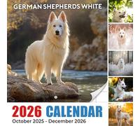 German Shepherds White Calendar 2026: Pure Beauty and Grace in Snowy Coats | Kalender Calendario Calendrier