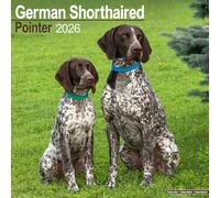German Shorthair Pointer Calendar 2026 Square Dog Breed Wall Calendar - 16 Month