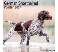 German ShortHaired Pointer 2027 Calendar | Square Wall Calendar | Dog Breed Gift | Plastic Free Packaging | by Avonside Publishing