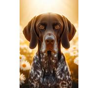 German Shorthaired Pointer face Notebook - Large 6 x 9 inches - 127 Pages