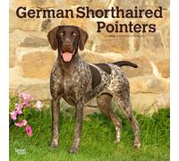 BrownTrout – Calendario mural German Shorthaired Pointers 2026 – 12x24 Inch, 16 meses, sin plástico