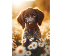 German Wirehaired Pointer Puppy face Notebook - Large 6 x 9 inches - 127 Pages