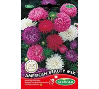 Germisem American Beauty Mix Semillas de Aster Chino 1 g, EC1509