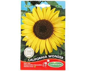 Germisem California Wonder Semillas de Girasol 4 g, EC1530
