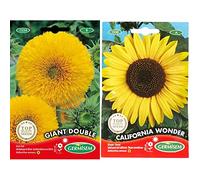 Germisem Giant Double Semillas de Girasol 2 g (EC1534) & California Wonder Semillas de Girasol 4 g, EC1530