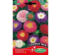 Germisem Lilliput Mix Semillas de Aster Chino 1 g, EC1517