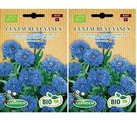 Germisem Orgánica Centaurea Cyanus Semillas de Aciano 1 g (ECBIO1512) (Paquete de 2)
