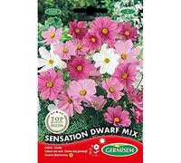 Germisem Sensation Dwarf Mix Semillas de Cosmos 1 g (EC1515)