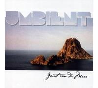 Gerrit Van der Meer - Umbient