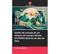 Gestão de energia de um sistema de energia híbrido (PV/PEMFC/Bateria de iões de lítio)