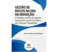 Gestão De Riscos Na Era Da Inovação (ebook)