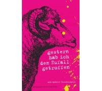 Gestern Hab Ich Den Zufall Getroffen (ebook)