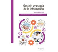 Gestion Avanzada De La Informacion