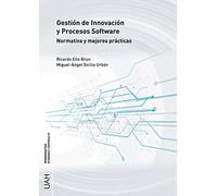 Gestión de innovación y Procesos Software: Normativa y mejoras prácticas: 07 (Monografías Economía y Empresa)