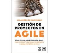 Gestion De Proyectos En Agile