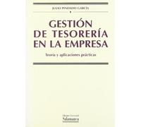 GESTION DE TESORERIA EN LA EMPRESA. TEORIA Y APLICACIONES PR (MANUALES UNIVERSITARIOS)