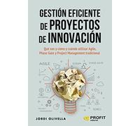 Gestión eficiente de proyectos de innovación (GESTION PROYECTOS)