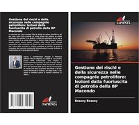 Gestione dei rischi e della sicurezza nelle compagnie petrolifere: lezioni dalla fuoriuscita di petrolio della BP Macondo