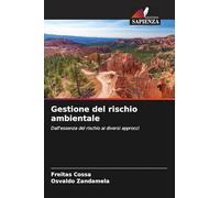 Gestione del rischio ambientale: Dall'essenza del rischio ai diversi approcci