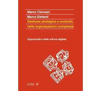 Pianificazione e controllo nelle organizzazioni...