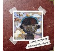 Get Cape. Wear Cape. Fly – The Chronicles Of A Bohemian Teenager – CD (Importación USA)