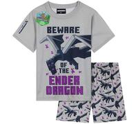 Get Trend Minecraft Pijama Corto Niño Pijamas Verano Chico Adolescente Set de 2 Piezas Ropa de Dormir Cómodo Regalo para Niños (7-8 Años, Minecraft Gris Pack de 1)