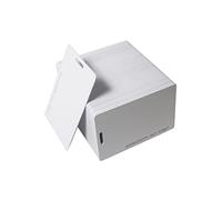 Getmorv 100 Tarjetas de identificación de proximidad RFID de 125 KHz con Ranura Perforadora, Tarjeta de Etiqueta para Sistema de Control de Acceso de Entrada para Cerradura electrónica de gabinete de