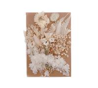 Getrocknete Gepresste - Schöne Getrocknete Bunt, Gepresste Blätter Blütenblätter DIY Für Epoxidharz-Handwerk, Dekorationen, DIY Passende 10 Farben