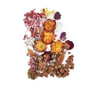 Getrocknete Gepresste - Schöne Getrocknete Bunt, Gepresste Blätter Blütenblätter DIY Für Epoxidharz-Handwerk, Dekorationen, DIY Passende 10 Farben