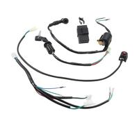 Gettimore Arnés de cableado y kit de reconstrucción de bobina de encendido CDI compatible con motos ATV Quad de 50 cc, 70 cc, 90 cc, 110 cc, 125 cc, para motores Ducar LIFAN LONCIN