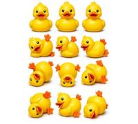 Getting My Ducks in a Row