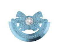 getuse Rotor Automático Profesional Accesorio para Reloj 4R35 7S26 4R36 Componente de Fijación Cojinete Pieza Mantenimiento Reemplazar- Azul