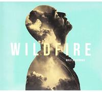 Geusebroek, Niels - Wildfire