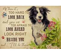 Geuuki Letrero de metal Border Collie When It's Too Hard to Look Back, letrero retro vintage de aluminio para el hogar, oficina, cafetería, bar, granja, perro, letrero de estaño de 8 x 12 pulgadas