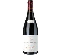 Gevrey Chambertin - Jeunes Rois Bio 2023 - Dominio Tortochot