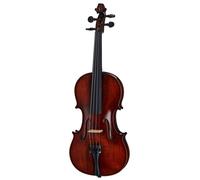 Gewa Georg Walther Violin GBA