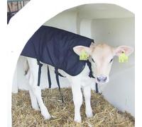 Gewa - Manta para terneros (70 cm, columna de agua de 6000 mm), color negro